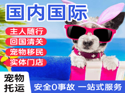 萧山航空运输国际宠物托运 【国